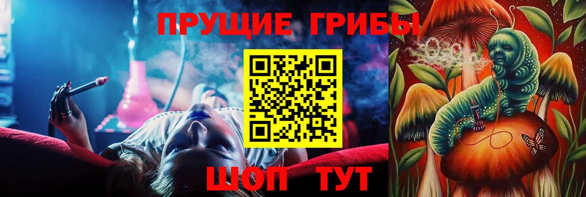 Галлюциногенные грибы прущие грибы  Псилоцибиновые грибы мицелий  Вход с VPN  Трёхгорный 