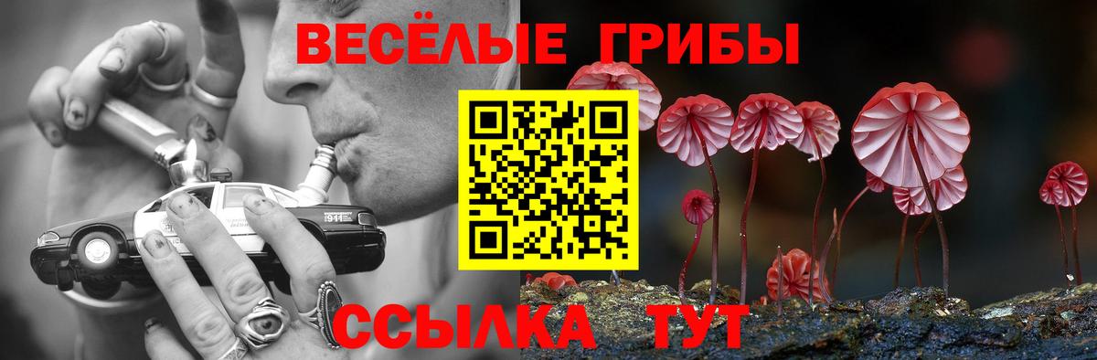 Псилоцибиновые грибы Psilocybe Трёхгорный